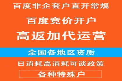 携手百度推广代运营公司，实现品牌腾飞